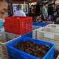 Foto pada 15 April 2020, sekeranjang udang yang dijual di salah satu toko  di Pasar Baishazhou Wuhan di Wuhan, provinsi Hubei. Lebih dari 90 persen kios pasar basah di Wuhan telah kembali buka sejak pemerintah mencabut aturan lockdown di wilayah pusat pandemi corona tersebut. (Hector RETAMAL/AFP)