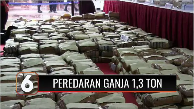 Sebanyak 1,3 ton ganja seharga Rp 7 miliar disita Direktorat Narkoba Polda Metro Jaya. Polisi juga menangkap 12 tersangka yang diduga berasal dari komplotan pengedar jaringan Jakarta-Medan-Aceh.