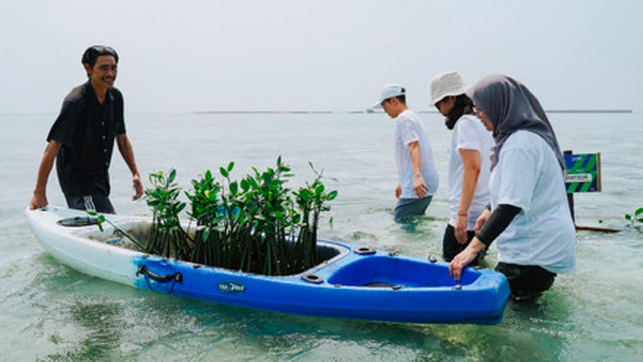Komitmen Kurangi Emisi Karbon dengan Menanam 1000 Pohon Mangrove di Pulau Pramuka