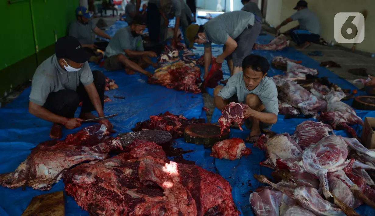 Panitia memotong hewan kurban untuk dibagikan kepada masyarakat di Masjid Sunan Kalijaga, Padepokan Taman Mini Indonesia Indah, Jakarta, Selasa (20/7/2021). Sebanyak 71 kambing dan 15 sapi karyawan TMII yang dipotong dibagikan dagingnya kepada fakir miskin. (merdeka.com/Imam Buhori)