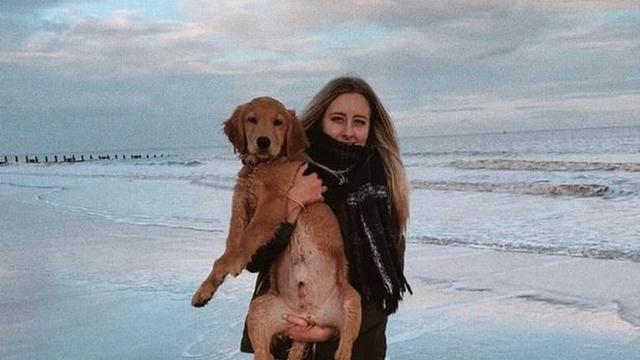 anjing telan airpod pemiliknya