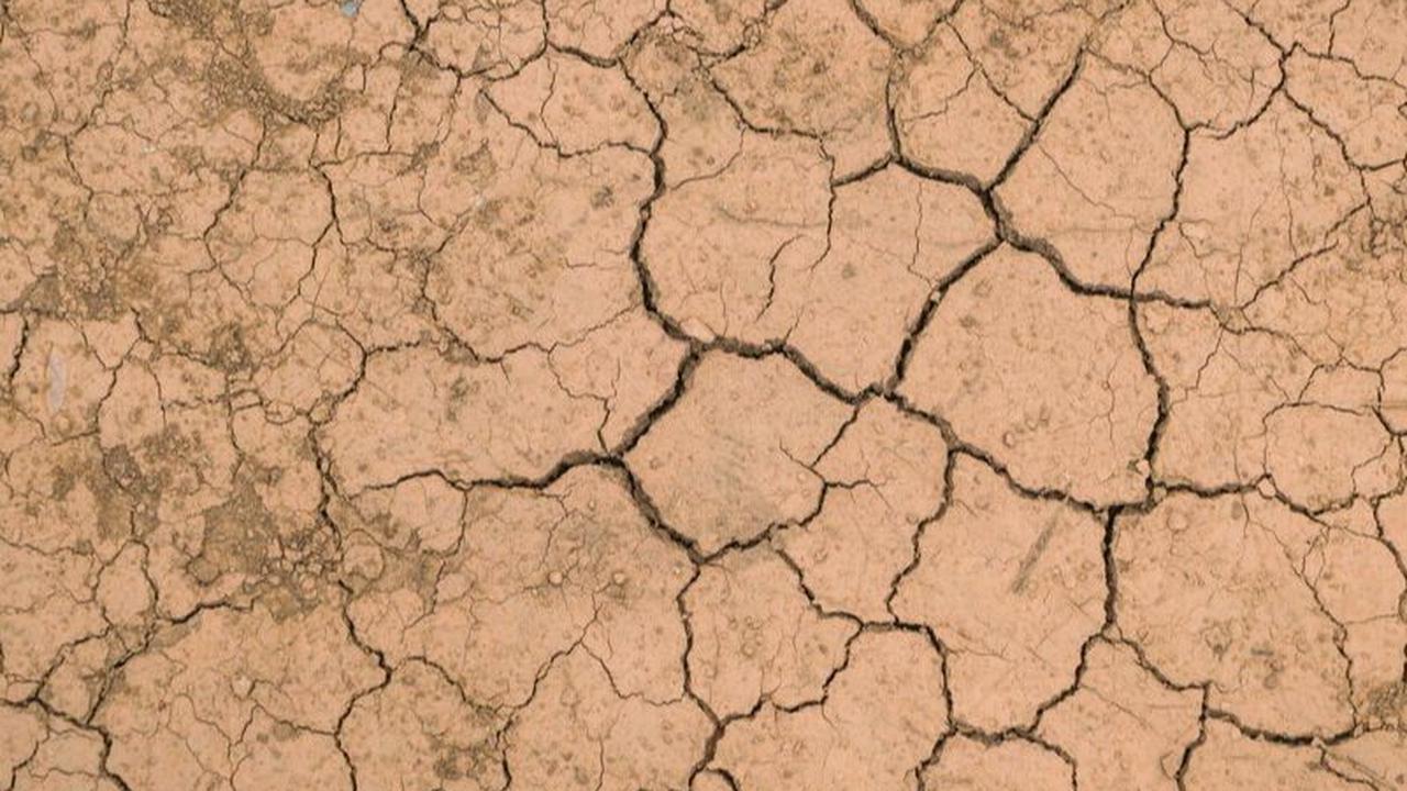 Puncak kekeringan tahun 2023 di Kabupaten Trenggalek, Jawa Timur, terjadi sejak dua bulan lalu dan belum berakhir hingga kini. Bahkan, saat ini jumlah desa terdampak kekeringan semakin banyak.