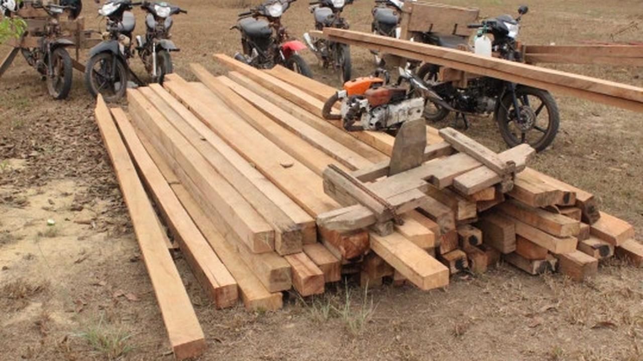 Aksi Marinir gagalkan illegal logging di Taman Nasional Sembilang