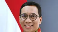 Profil Febrian Alphyanto Ruddyard, Anggota Dewan Keamanan PPB yang Ditunjuk Jadi Wamen PPN