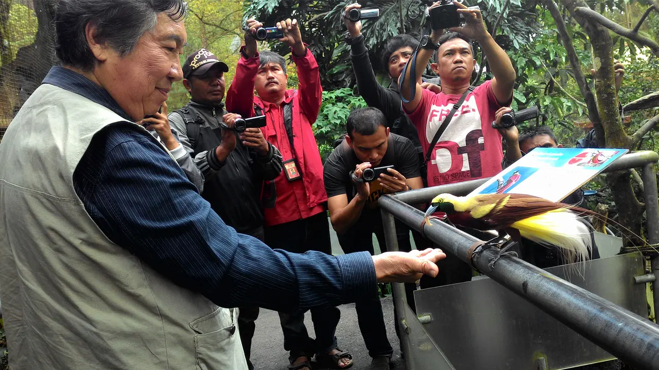 Taman Safari Indonesia Punya Anggota Keluarga Baru