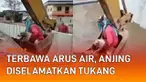 Aksi heroik ditunjukkan oleh para tukang saat menyelamatkan seekor anjing yang terbawa arus air mengundang perhatian