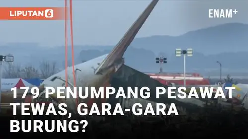 VIDEO: Misteri Kecelakaan Pesawat yang Tewaskan 179 Orang di Korea Selatan
