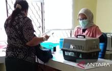 Tahukah Anda? Babel Intensifkan Klinik Hewan demi Cegah Penyakit Zoonosis Berbahaya