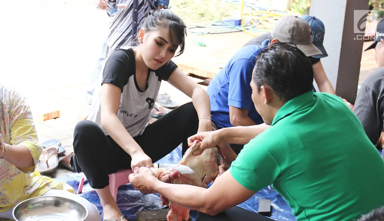 Penyanyi dangdut Ayu Ting Ting saat memotong daging kurban di kediamannya, Depok (1/9). Usai hewan kurbanya di sembelih Ayu Ting Ting turut membantu memotong daging hewan tersebut. (Liputan6.com/Herman Zakharia)