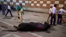 Seekor banteng yang mati diseret keluar dari arena adu banteng Las Ventas, Madrid, Spanyol, Minggu (4/7/2021). Adu banteng ini berlangsung di tengah pandemi virus corona COVID-19. (AP Photo/Manu Fernandez)