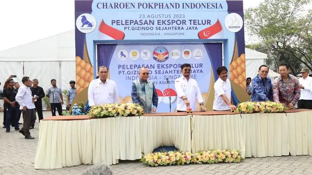 Mengintip Fakta Menarik Ekspor Telur Indonesia ke Singapura PT Charoen Pokphand Indonesia Tbk