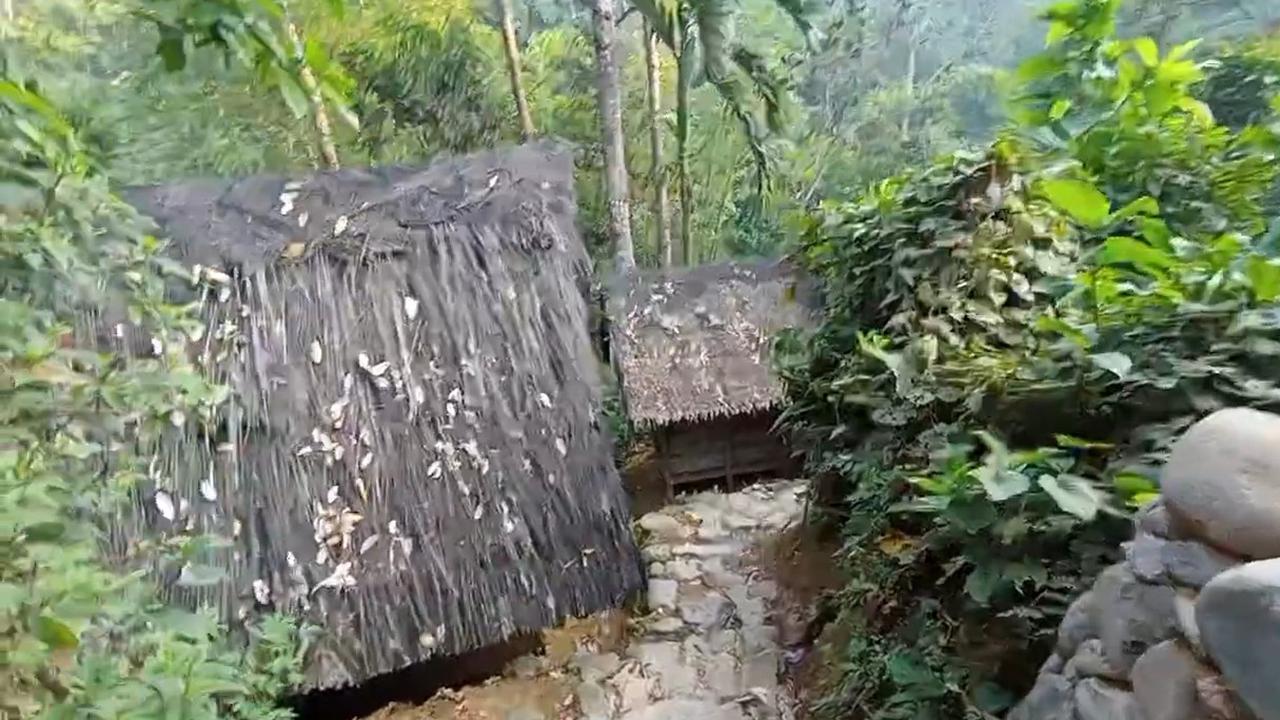 Menilik Suasana Pagi di Kampung Baduy, Pemandangan Jalan Setapak di Hutan Indah Banget