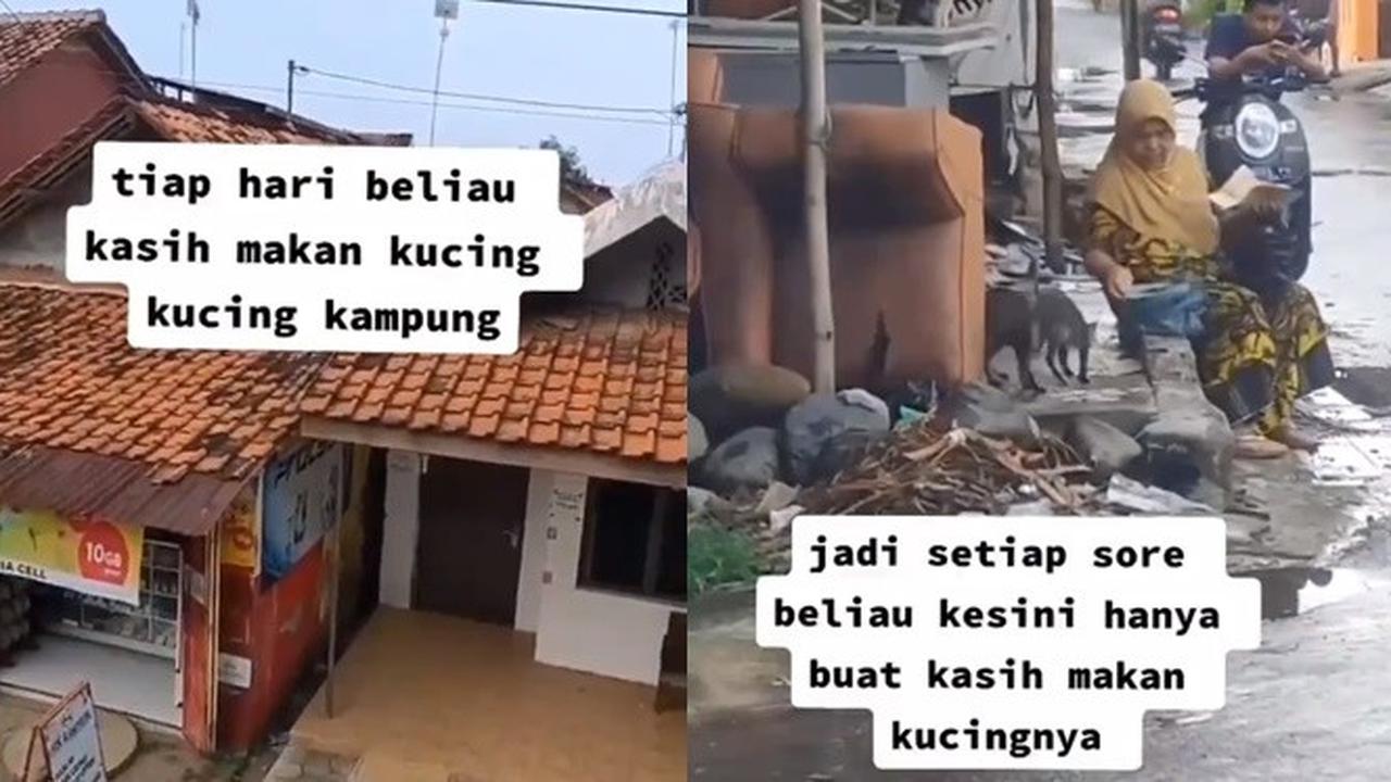 Kerap Beri Makan Kucing Liar Sekitar Rumah, Kisah Ibu Ini Bikin Haru