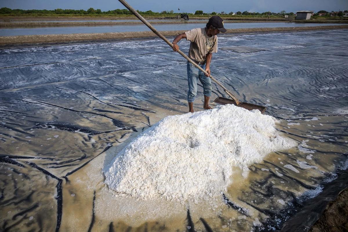 FOTO: Produksi Garam Rakyat Digenjot Kurangi Ketergantungan Impor