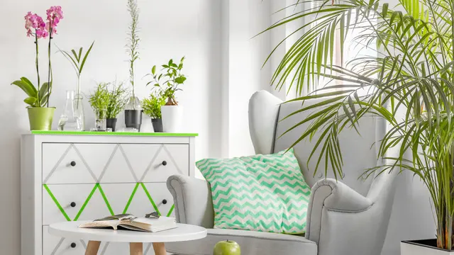 5 Trik Membawa Positive Vibes pada Interior Rumah, Berikan Efek Healing yang Dibutuhkan