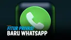 vertical whatsapp