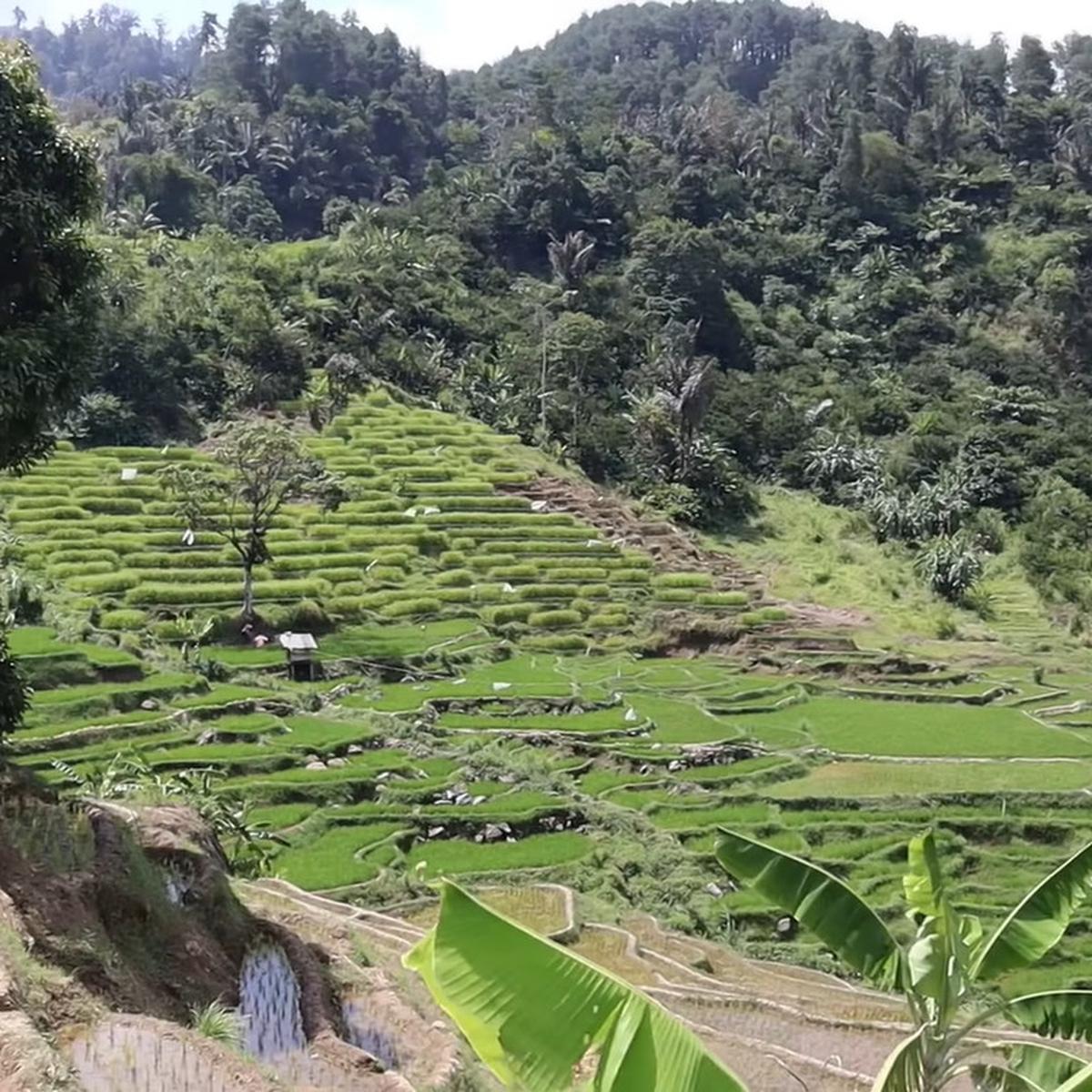 Kampung Cileunca yang punya pemandangan mirip di surga