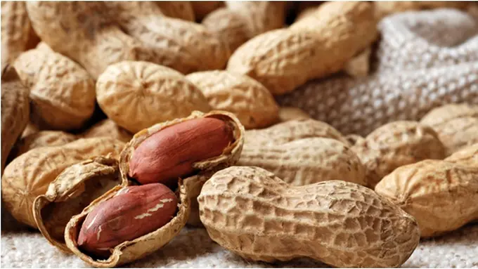 Courtesy ShutterStock.com