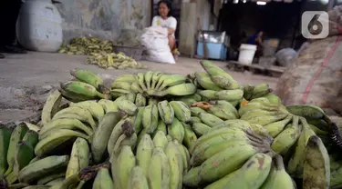 Pekerja mengupas kulit pisang untuk dijadikan keripik di Desa Cogreg, Parung Bogor, Jawa Barat, Kamis (3/9/2020). Keripik Pisang tersebut akan dikirim ke pasar dengan harga Rp 35 ribu untuk menambah pilihan oleh-oleh dari Kota Hujan. (merdeka.com/Dwi Narwoko)