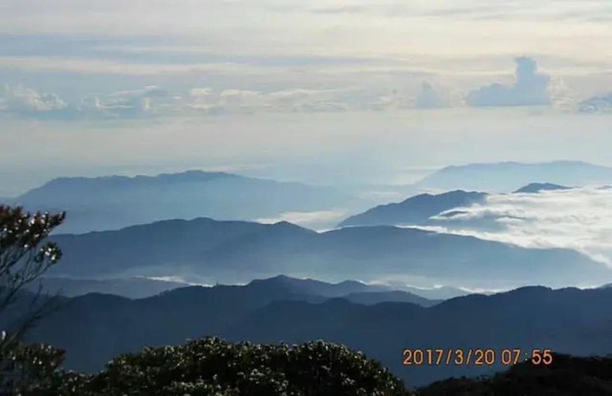 6 Fakta Menarik Gunung Kurik, Titik Tertinggi di Aceh Timur dengan Pendakian Menantang