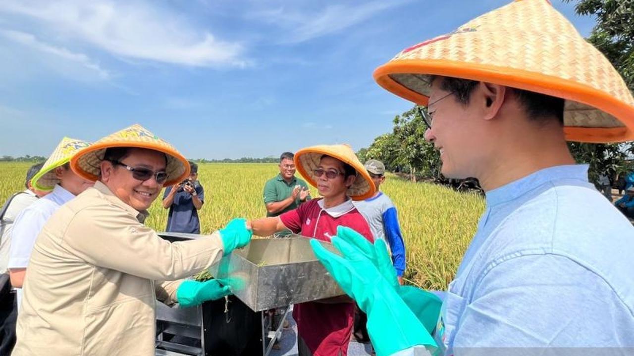 Potensi Rp65 Juta per Musim Panen, Bappenas: Kebijakan Harga Gabah Rp6.500/Kg Dorong Kesejahteraan Petani