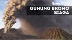 Hilangnya alat pemantau itu menyebabkan proses pemantauan aktivitas Gunung Bromo yang menggunakan metode deformasi dan geokimia tidak dapat dilakukan. 