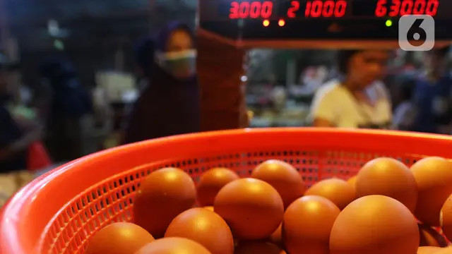 Peredaran Telur Ayam Infertil Dilarang