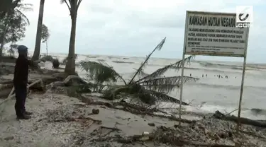 Abrasi pantai telah menggerus kawasan hutan mangrove dan pemukiman warga di Pantai Labu, Deli Serdang, Sumatera Utara.