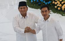 Prabowo Bakal Hadiri HUT ke-3 Partai Buruh di Istora Senaya Hari Ini