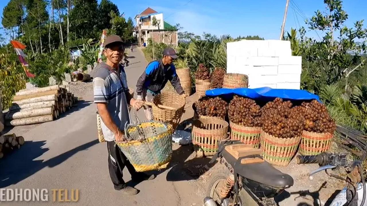 Tuai Kekaguman