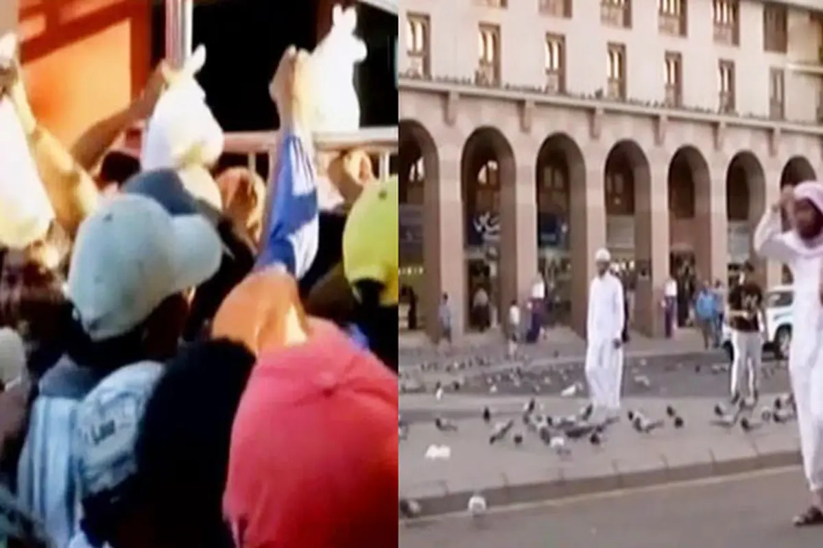 Antre Sembako Gratis hingga Merpati di Masjid Nabawi