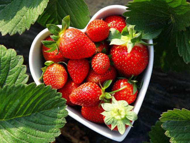 Buah strawberry bisa dimanfaatkan untuk mengatasi masalah komedo | Photo: Copyright Thinkstockphotos.com