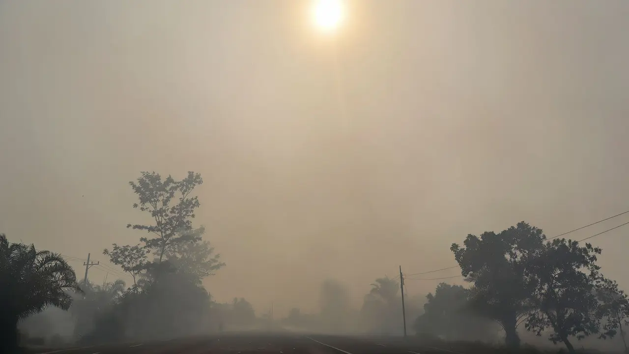Kabut Asap Karhutla Selimuti Palangka Raya
