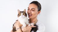 Ilustrasi kucing peliharaan (copyright Freepik)
