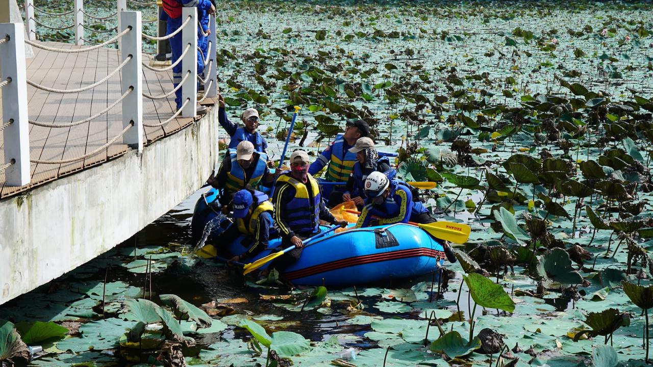 Dipimpin Ketua DPRD Garut Euis Ida Wartiah, beberapa wakil rakat di DPRD Garut tengah membersihkan tanaman eceng gondok di kawasan wisata air Situ Bagendit, Garut. (Liputan6.com/Jayadi Supriadin)