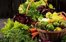 10 Sayur Penurun Darah Tinggi Alami Paling Cepat & Efektif