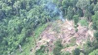 Hutan Gundul di Pesisir Barat Lampung, Masifnya Praktik Pembalakan Liar