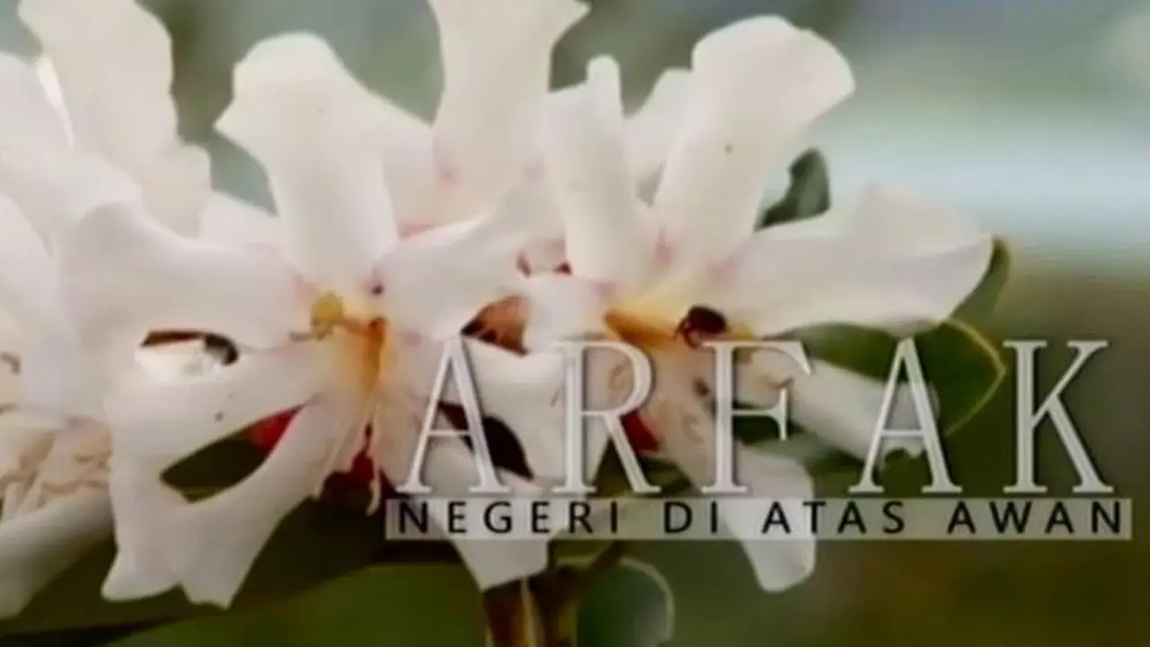Segmen 2: Pesona Pegunungan Arfak di Papua