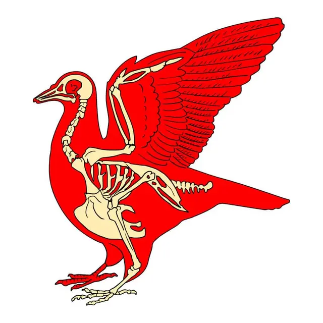 Apakah Burung Kolibri Sebenarnya Dinosaurus?