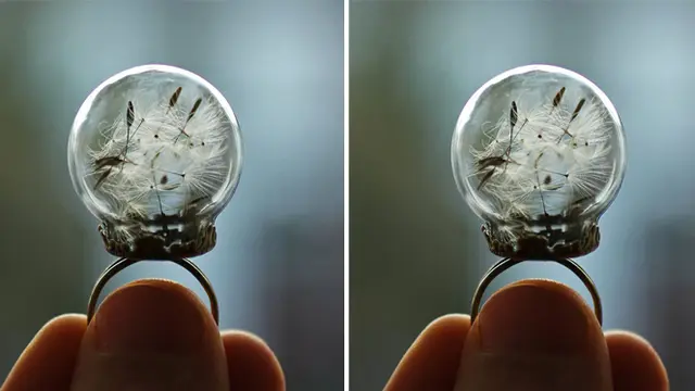 10 Desain Cincin Paling Kreatif di Dunia
