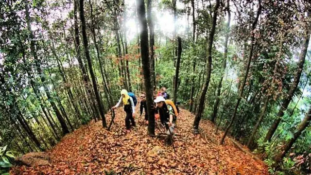 Pendaki di Gunung Endut, Banten