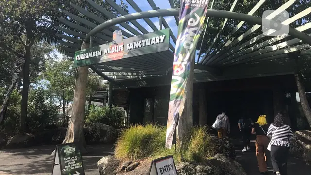 Currumbin Wildlife Sanctuary