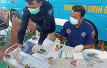 BNNP Aceh Gelar Tes Narkoba Sopir Mudik Lebaran, Pastikan Perjalanan Aman dan Nyaman