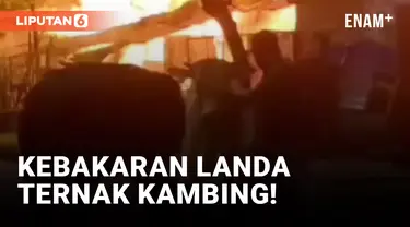 Kebakaran Landa Peternakan Kambing di Pondok Kopi