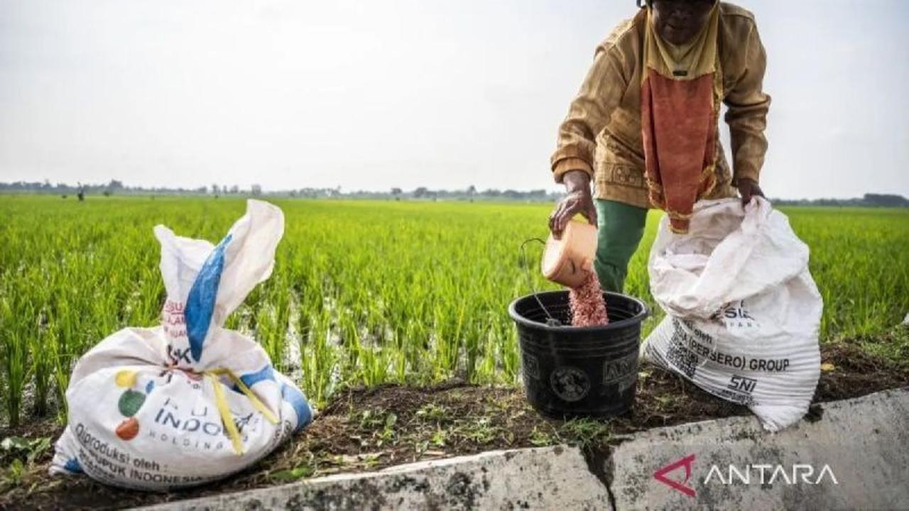 Ratusan Transaksi Penebusan Pupuk Subsidi Dini Hari 1 Januari 2026, Kementan Pastikan Sistem Siap
