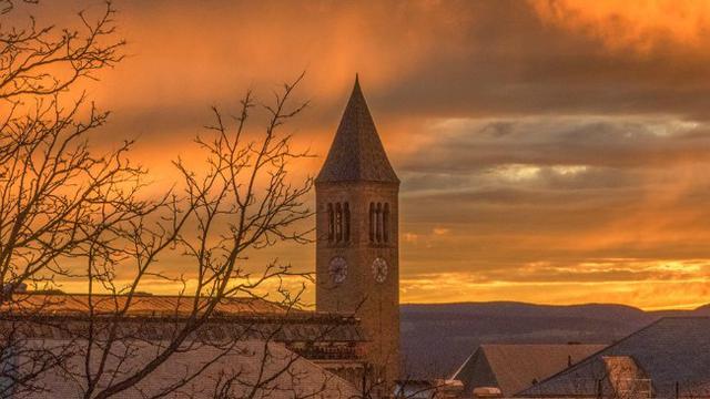 Cornell University (1)