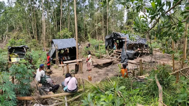Asa Suku Batin Sembilan di Hutan Harapan