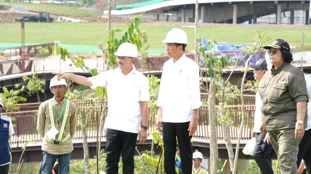 Upaya Pembangunan Hutan Hujan Tropis