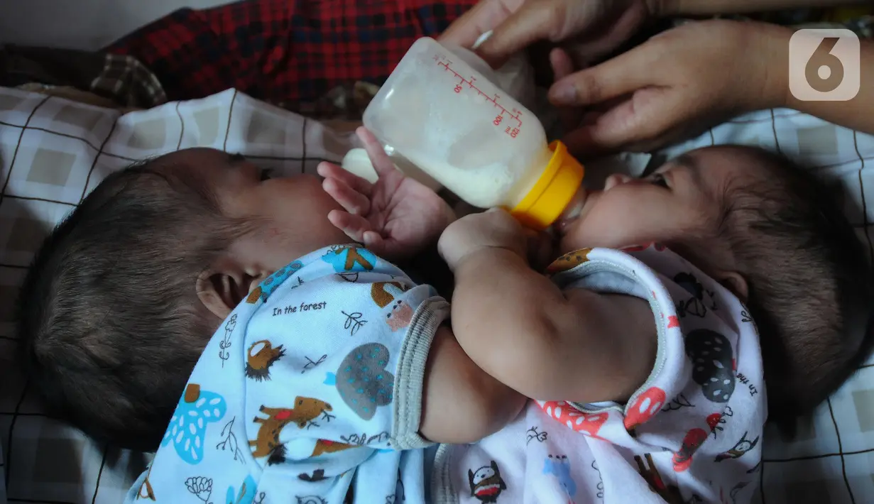 Bayi kembar siam Queenetha Zaina dan Queenesha Zahira di rumahnya di Perumahan Permata Indah Blok W No. 18 RT 18/03, Sukabumi, Sabtu (14/08/2021). Bayi kembar siam itu membutuhkan bantuan dana sebesar Rp1,6 milyar untuk operasi pemisahan di RS Hasan Sadikin Bandung. (merdeka.com/Arie Basuki)