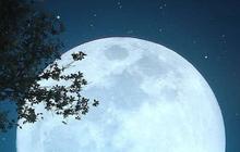 Arti I Love You To the Moon and Back dan Sejarahnya, Punya Makna Mendalam